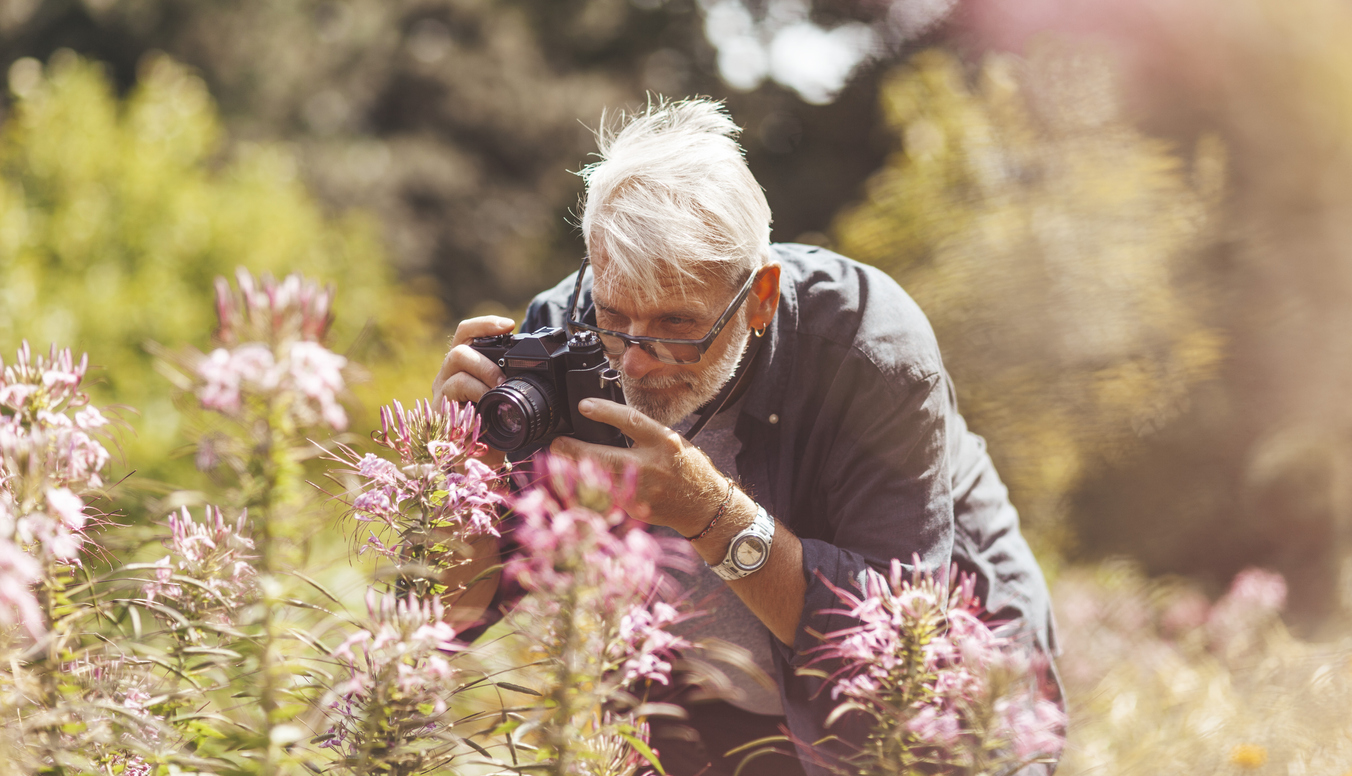 older man with camera takes photograph of pink flower outside