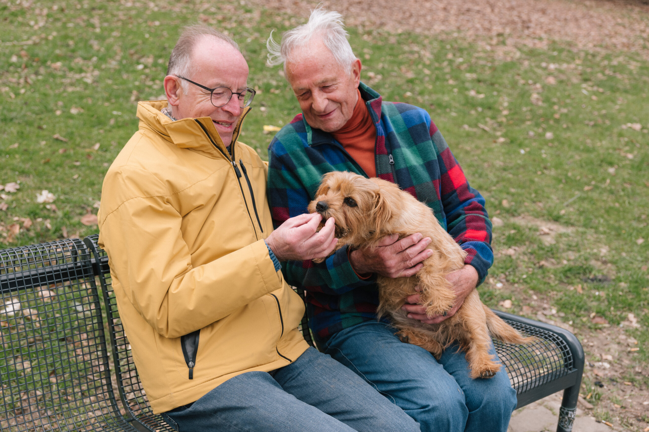 male couple sits on park bench outside with their small dog.
