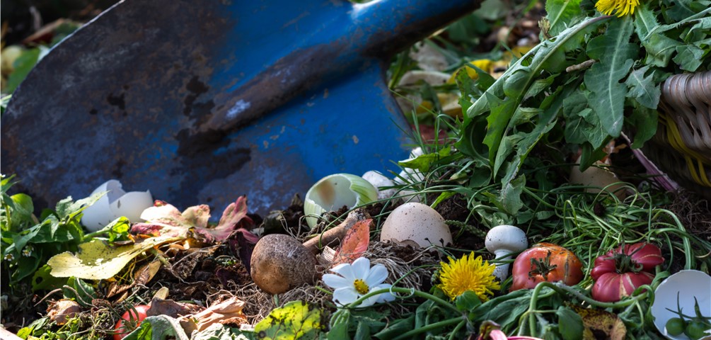 composting. a blue shovel amongst composting foods and yard waste