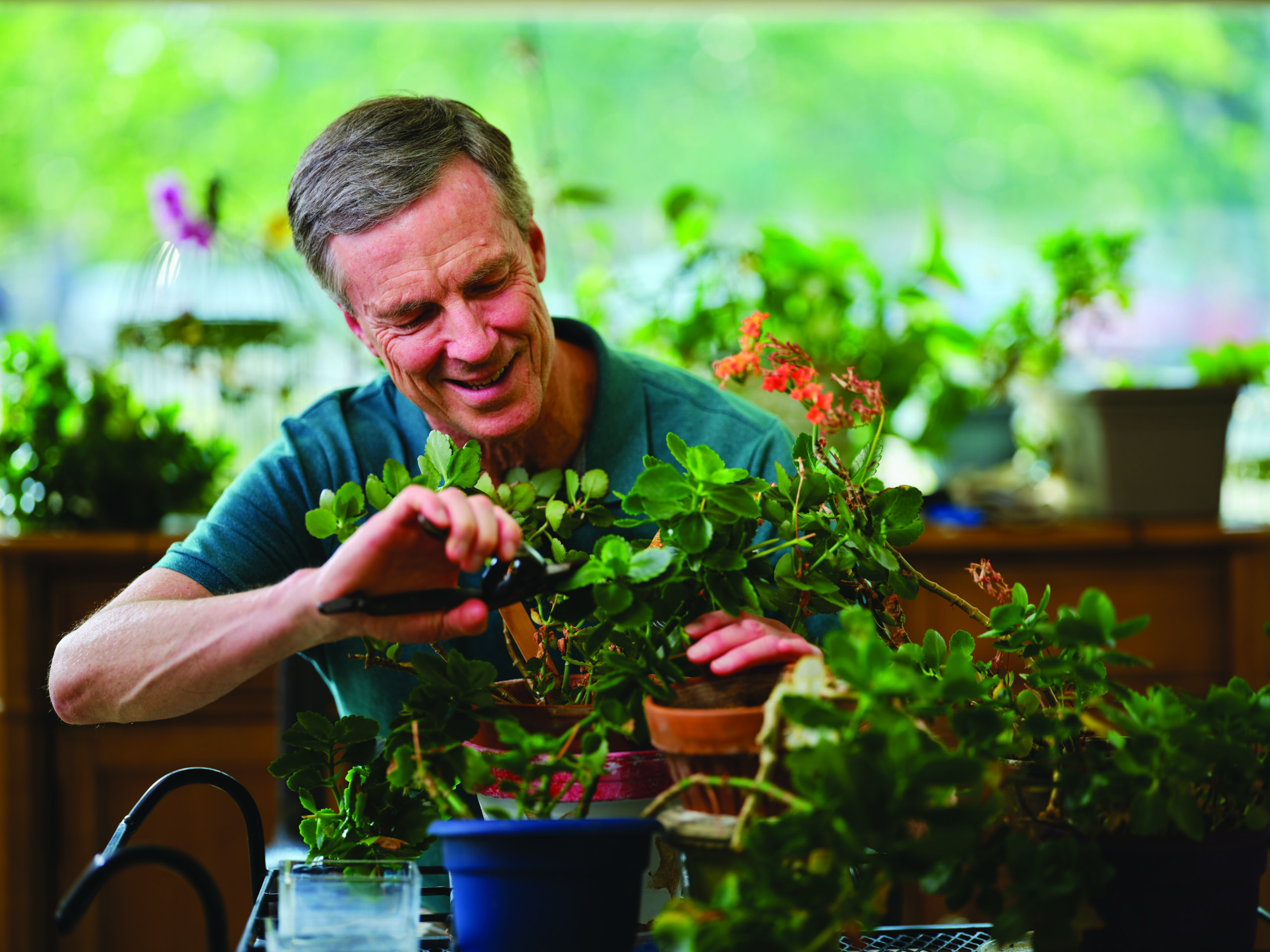 Older adult male planting flowers.