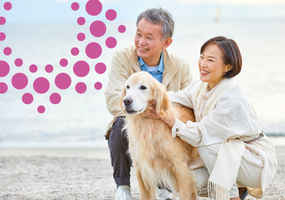 senior asian couple and their golden retriever pose at the beach